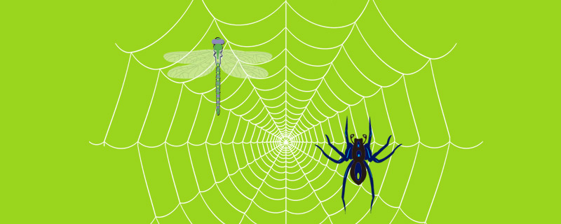 深圳網站SEO優化公司